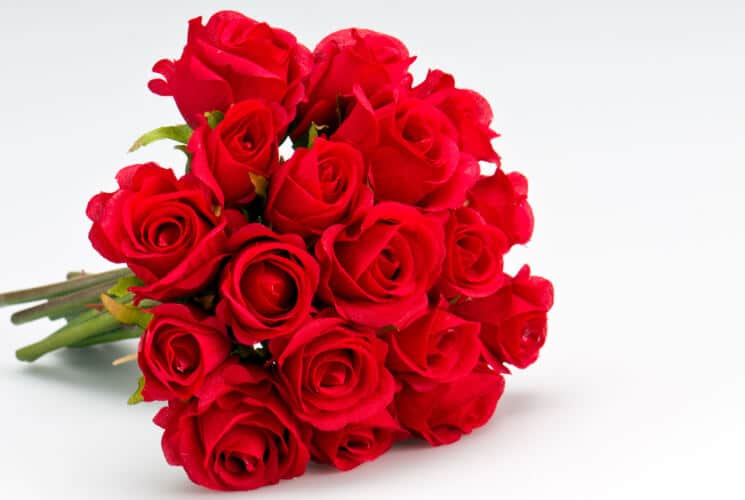 A bouquet of vibrant red roses.